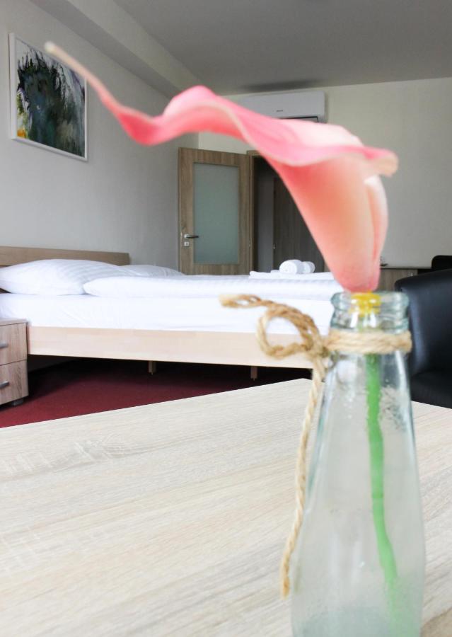 Hotel Ungar 斯维塔维 外观 照片