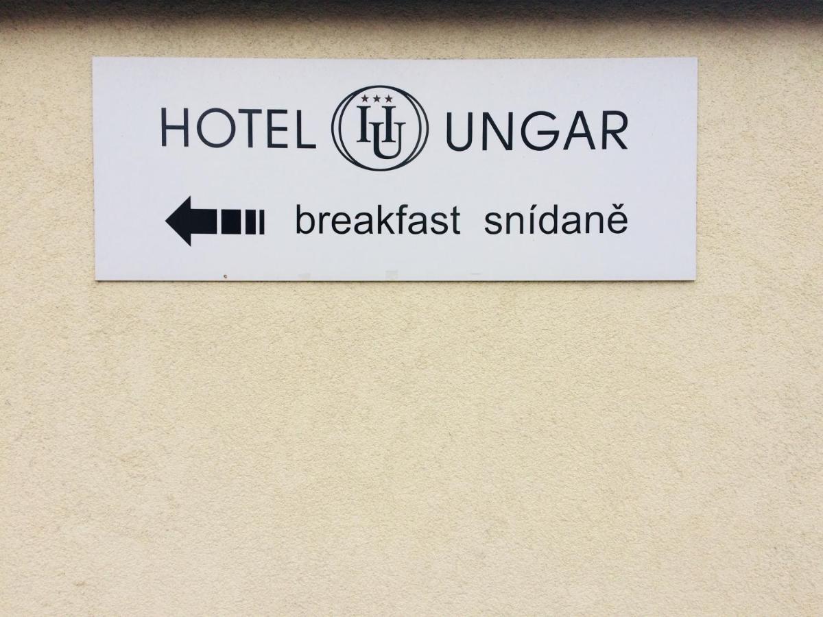 Hotel Ungar 斯维塔维 外观 照片