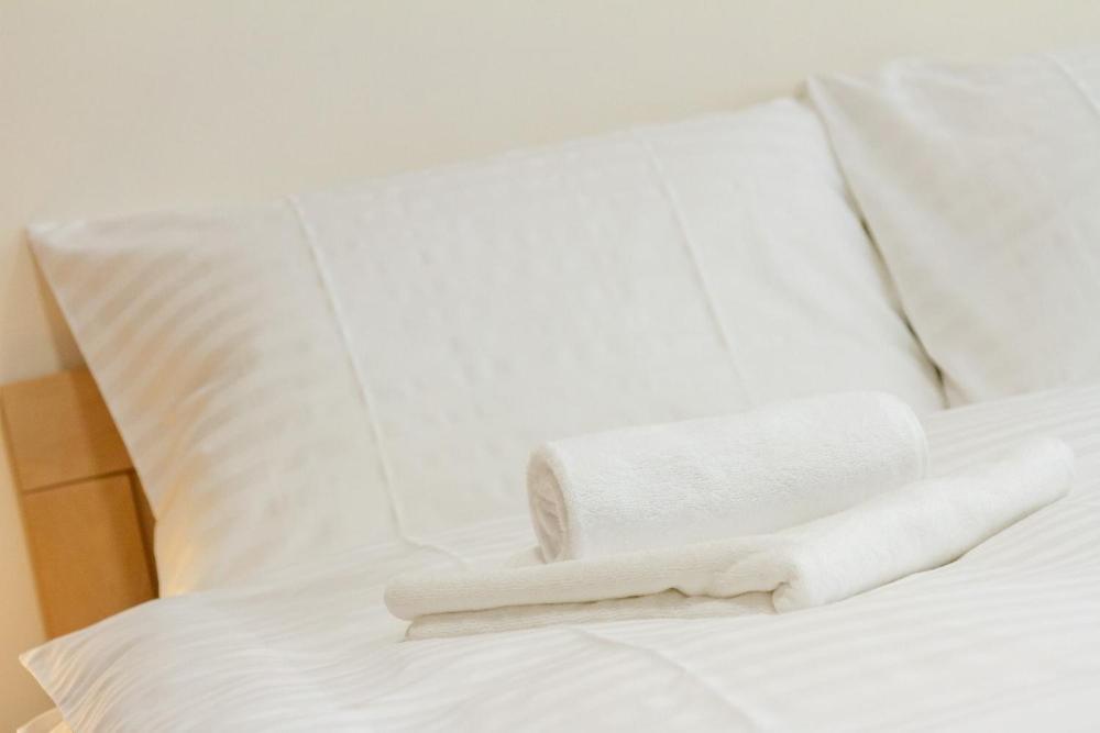 Hotel Ungar 斯维塔维 外观 照片